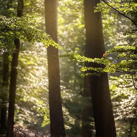 Aparthouse Haas41 - Appartement