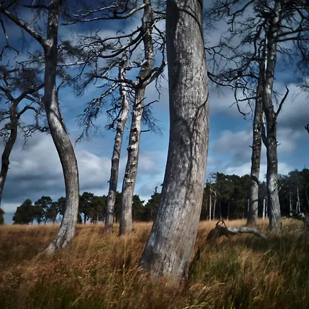 Appartement Aparthouse Haas41 - *