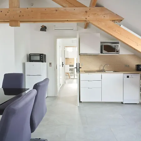 Apartment Aparthouse Haas41 -