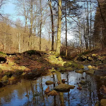 Aparthouse Haas41 - *