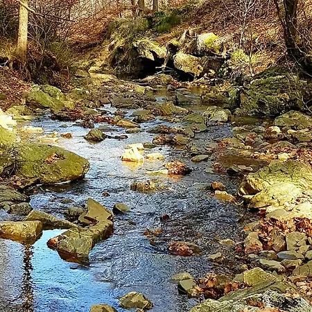 Aparthouse Haas41 - Эйпен