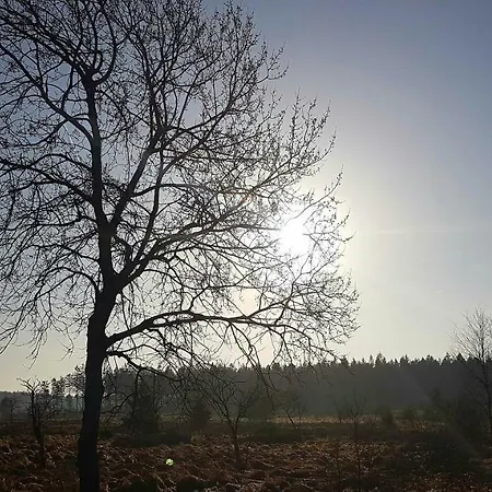 Aparthouse Haas41 - * Eupen