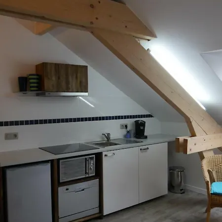 Aparthouse Haas41 -