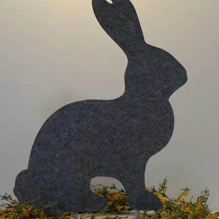 Апартаменты Aparthouse Haas41 - *