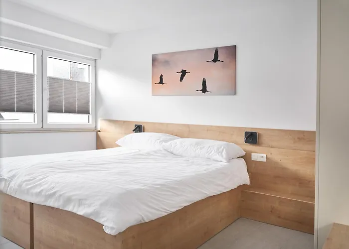 Aparthouse Haas41 - *