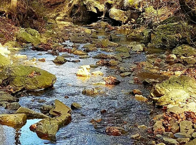 Aparthouse Haas41 - Eupen