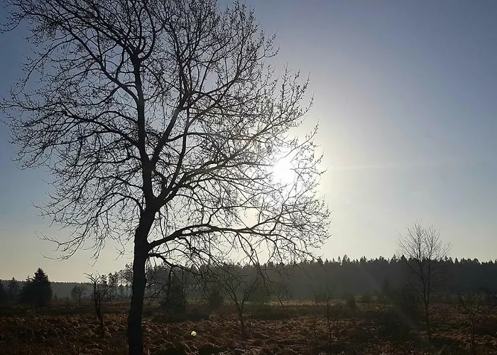 Aparthouse Haas41 - * ايوبن